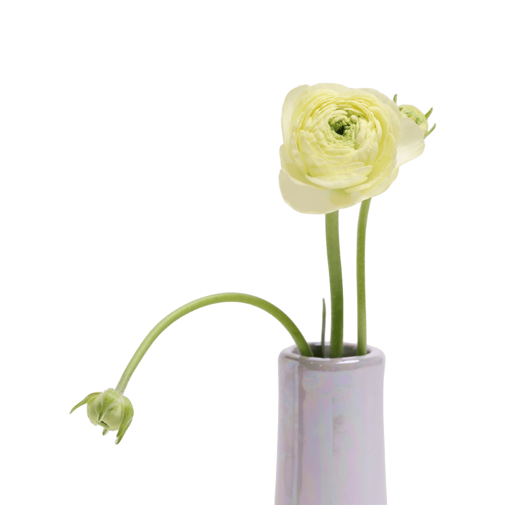 Galaxy Ceramic Bud Vase Kit - Chive US Wholesale