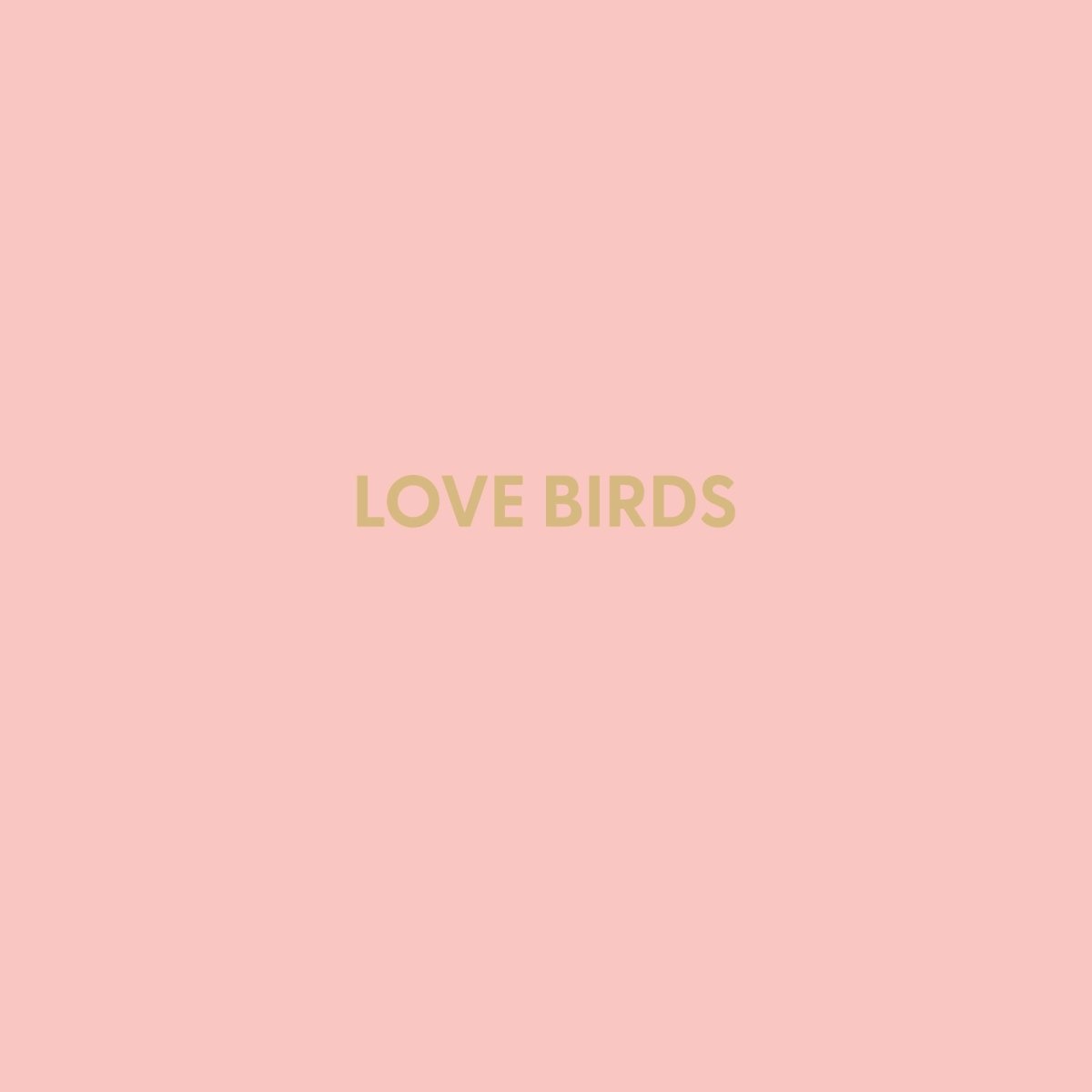 Love Birds - Greeting Card - Chive US Wholesale