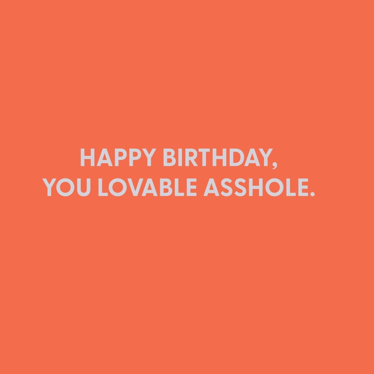 Happy birthday, you lovable asshole - Greeting Card - Chive US Wholesale