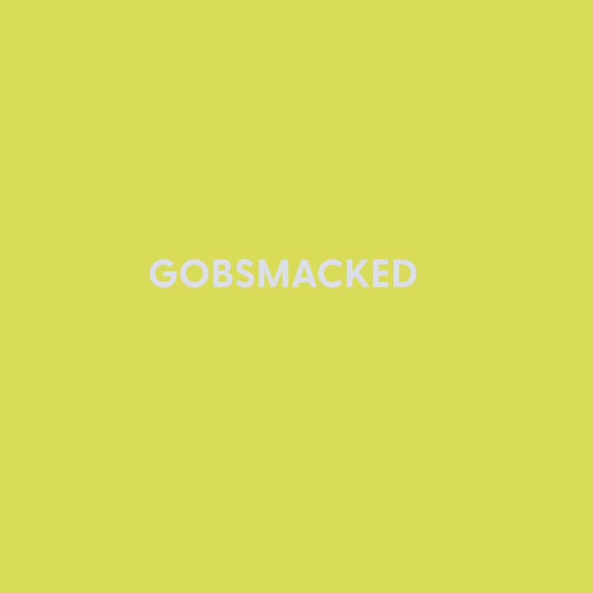 Gobsmacked - Greeting Card - Chive US Wholesale