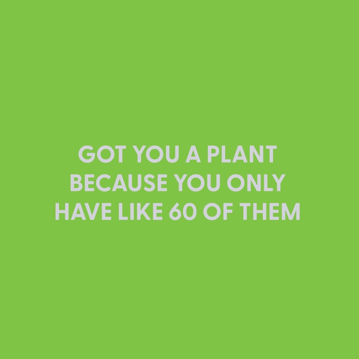 Got you a plant because you only have like 60 of them - Greeting Card - Chive US Wholesale