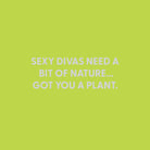 Sexy divas need a bit of nature... Got you a plant. - Greeting Card - Chive US Wholesale