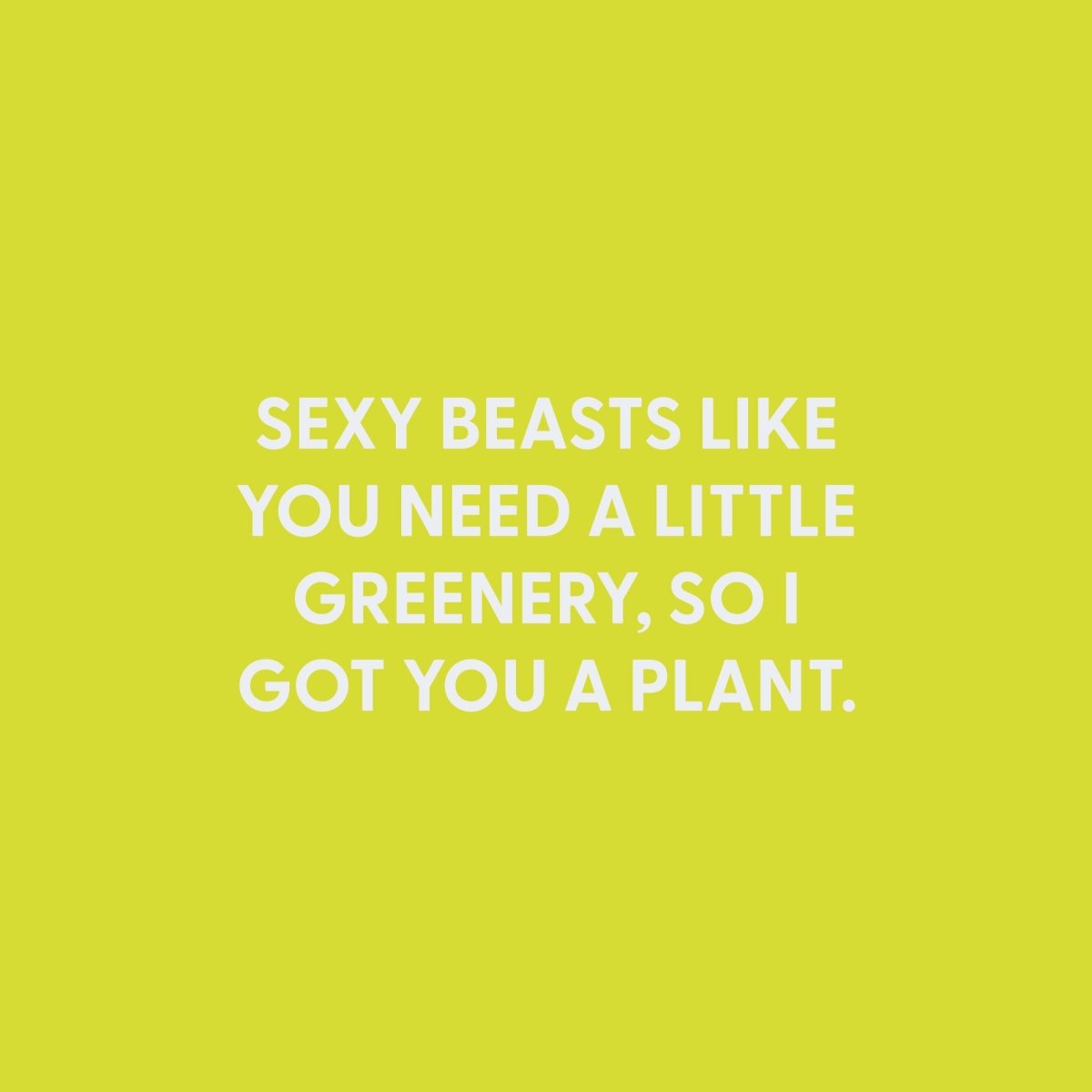 Sexy beasts like you need a little greenery, so I got you a plant. - Greeting Card - Chive US Wholesale