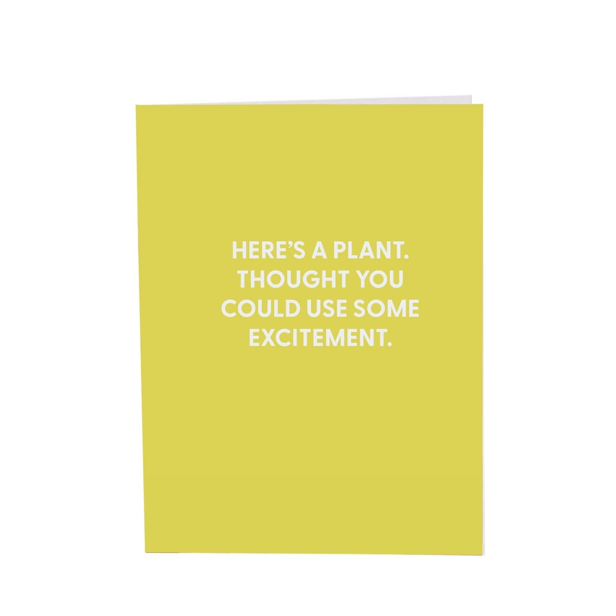 Here?€?s a plant. Thought you could use some excitement. - Greeting Card - Chive US Wholesale