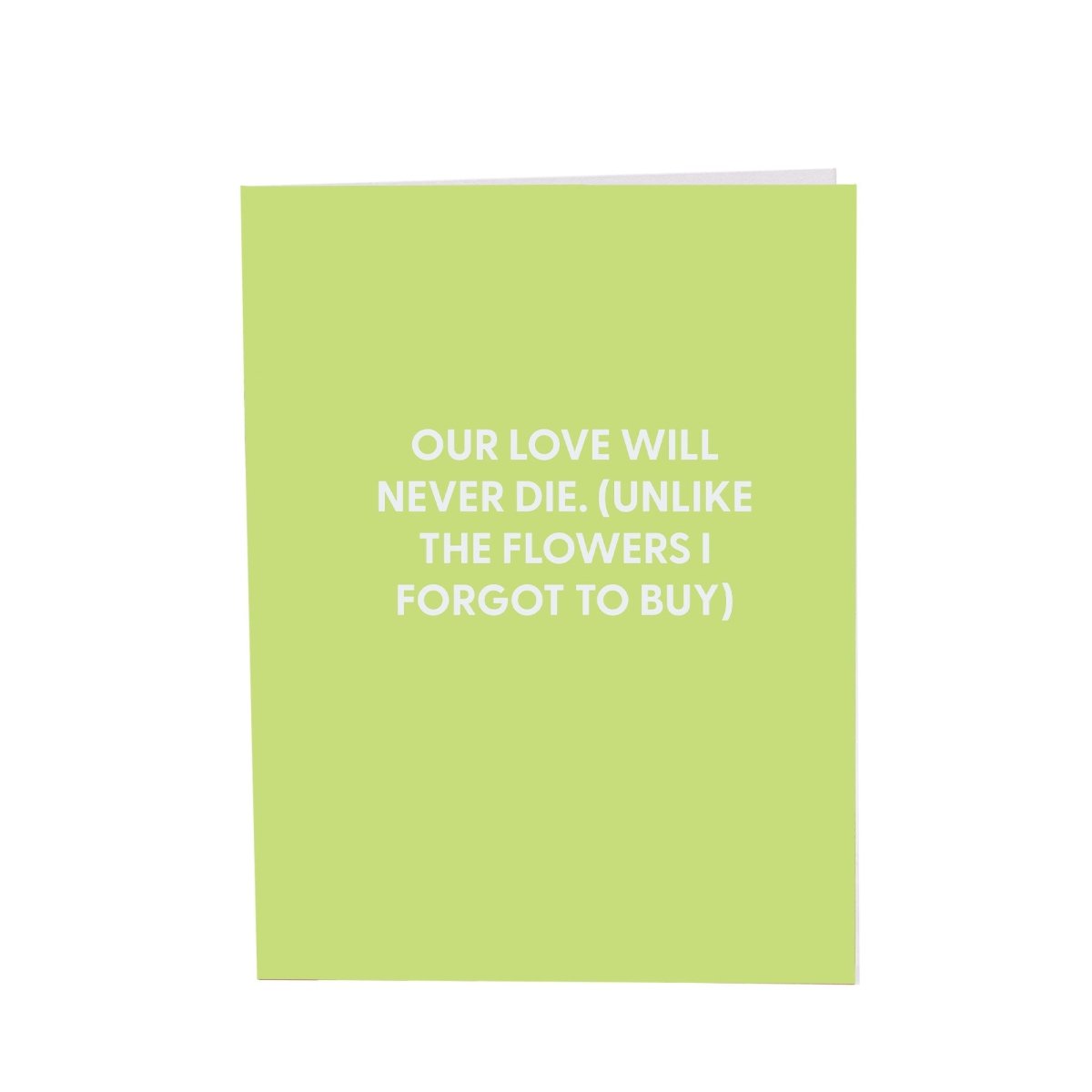 Our love will never die. (Unlike the flowers I forgot to buy) - Greeting Card - Chive US Wholesale