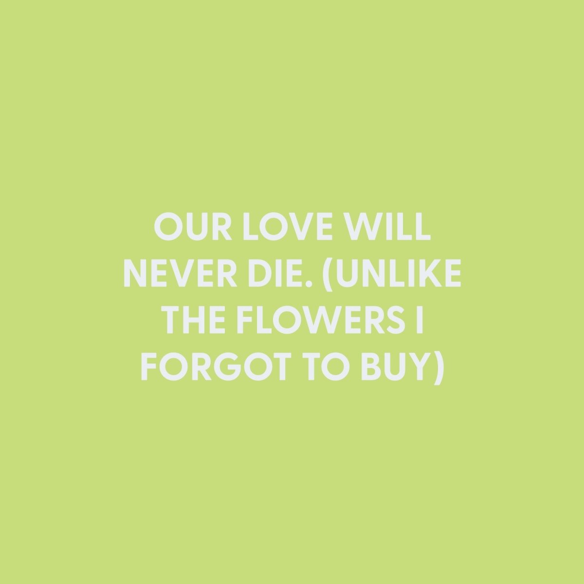 Our love will never die. (Unlike the flowers I forgot to buy) - Greeting Card - Chive US Wholesale