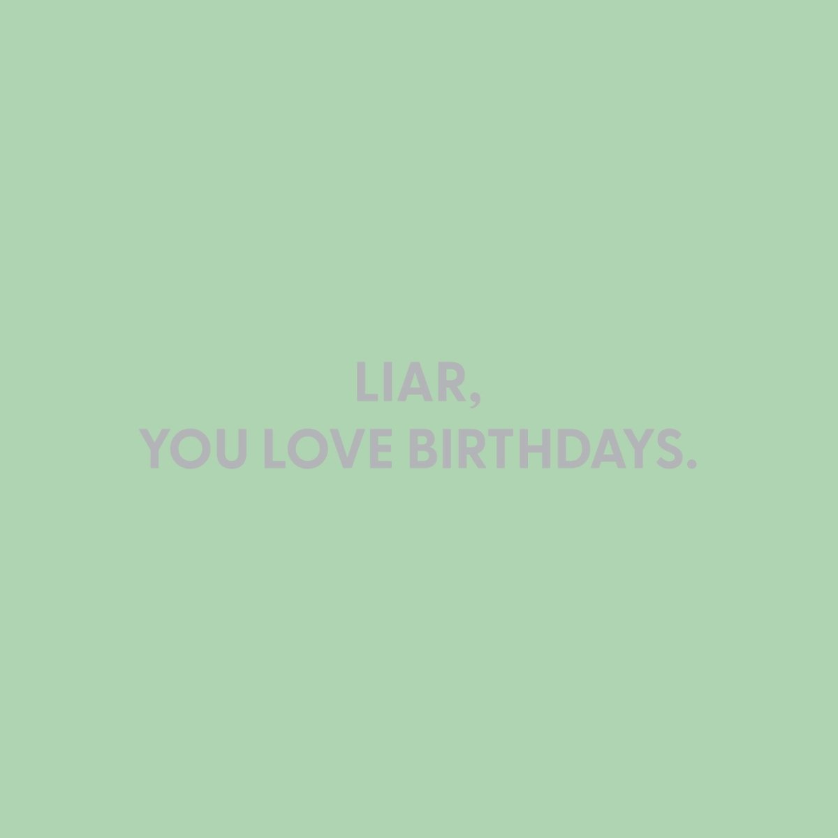 Liar, you love birthdays. - Greeting Card - Chive US Wholesale