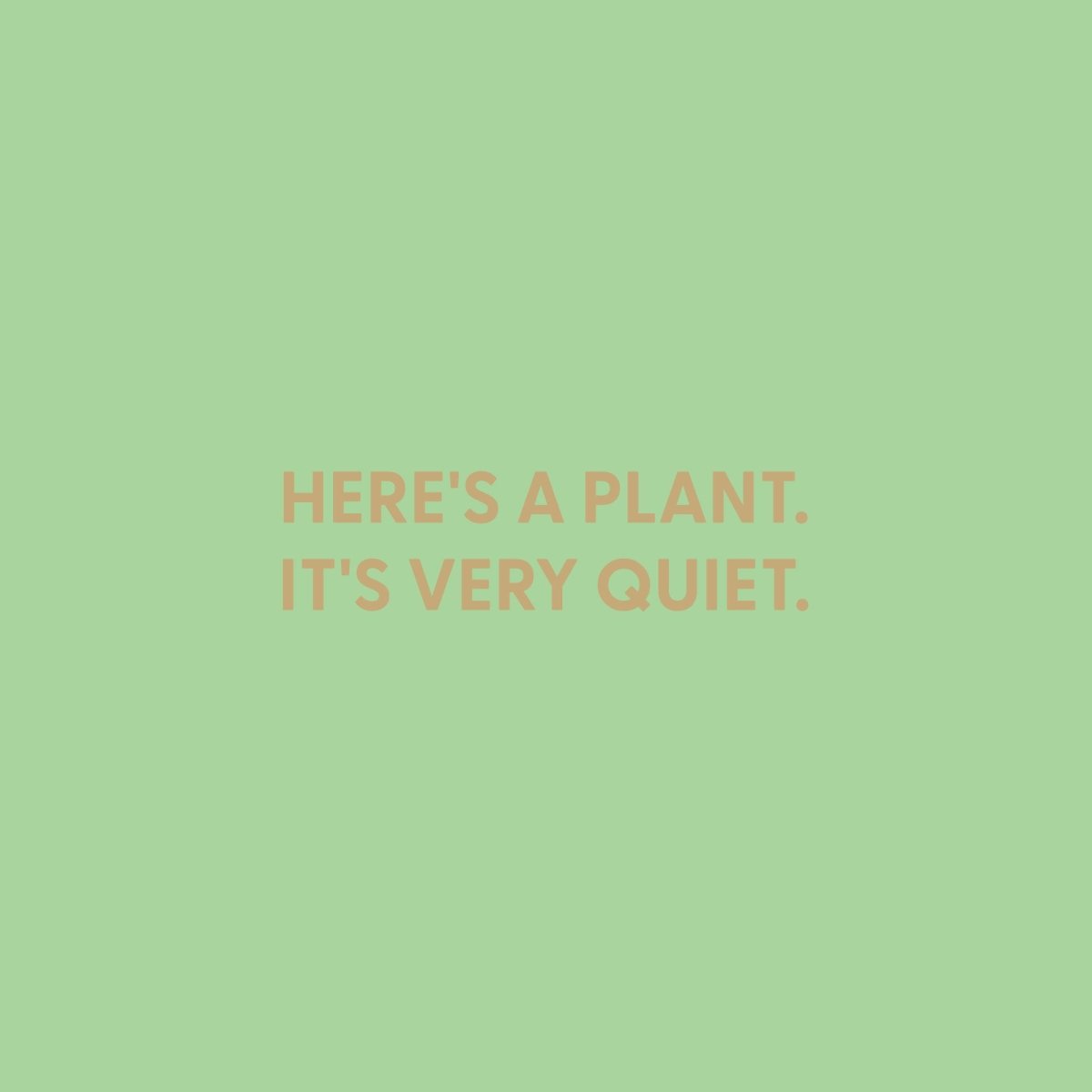 Here's a plant. It's very quiet. - Greeting Card - Chive US Wholesale