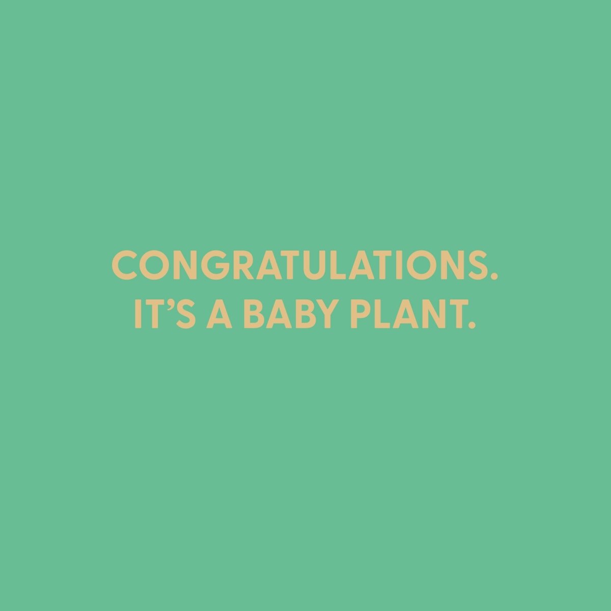 Congratulations. It’s a baby plant. - Greeting Card - Chive US Wholesale