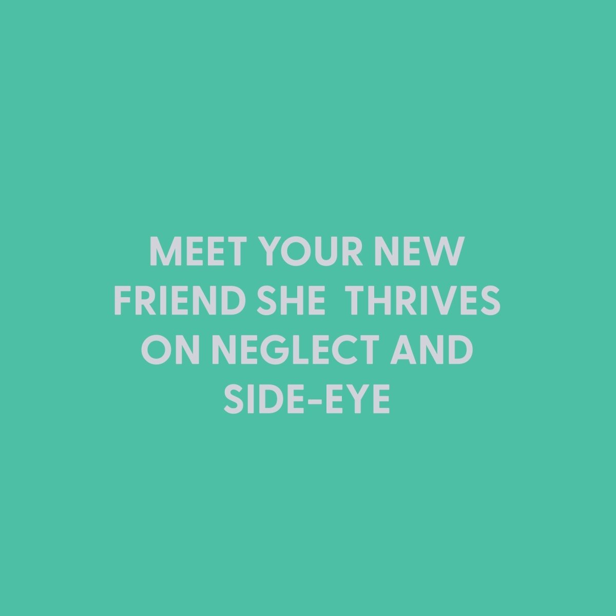 Meet your new friend she thrives on neglect and side - eye - Greeting Card - Chive US Wholesale