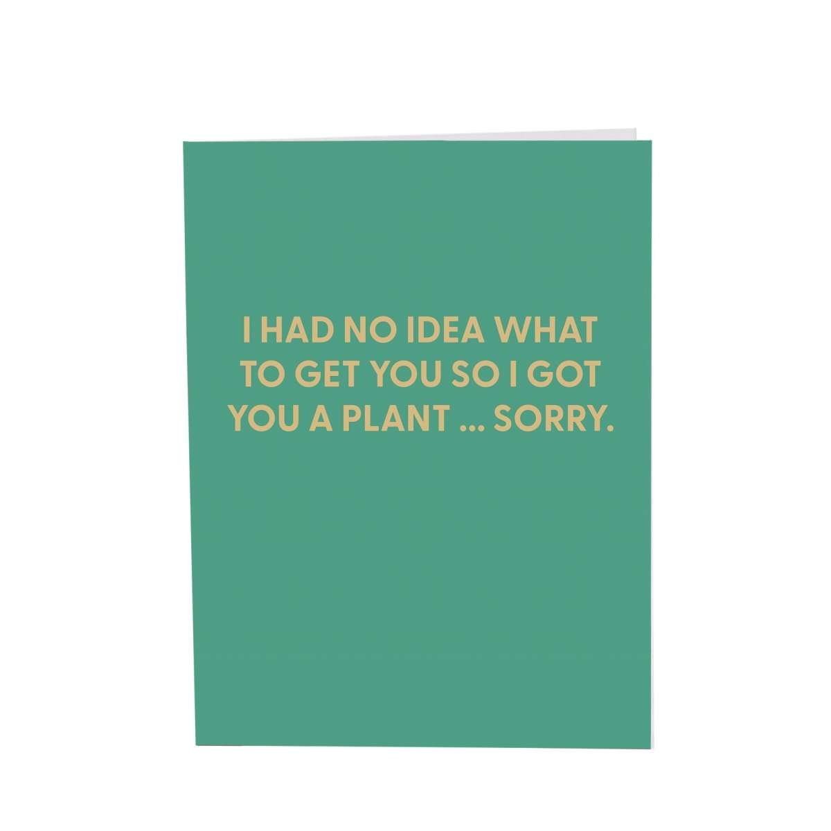 I had no idea what to get you so i got you a plant ... sorry. - Greeting Card - Chive US Wholesale