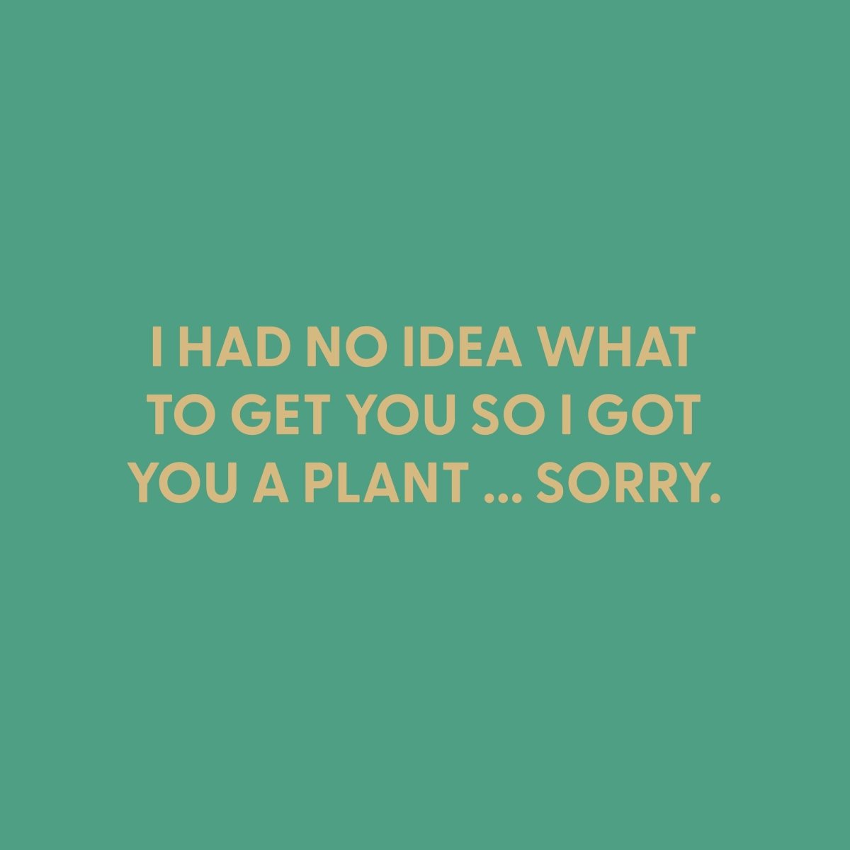 I had no idea what to get you so i got you a plant ... sorry. - Greeting Card - Chive US Wholesale