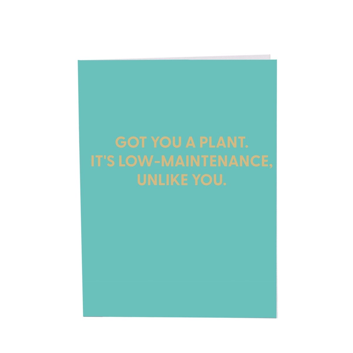 Got you a plant. It's low - maintenance, unlike you. - Greeting Card - Chive US Wholesale