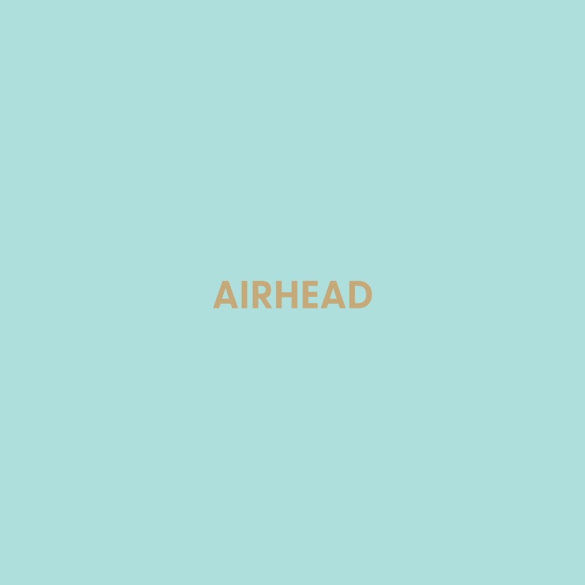 Airhead - Greeting Card - Chive US Wholesale