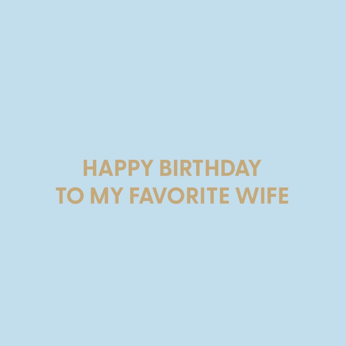 Happy Birthday to my favorite wife - Greeting Card - Chive US Wholesale