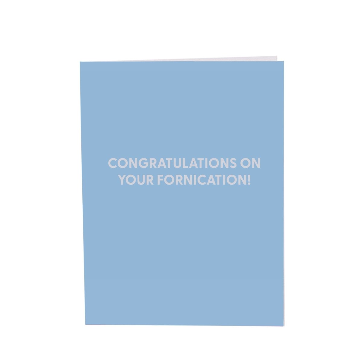 Congratulations on your fornication! - Greeting Card - Chive US Wholesale