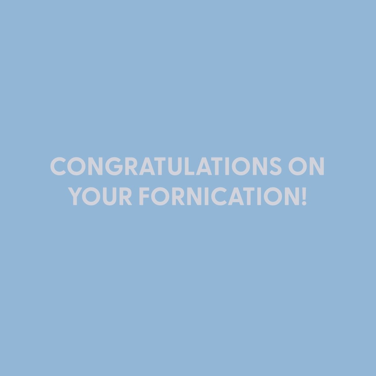 Congratulations on your fornication! - Greeting Card - Chive US Wholesale