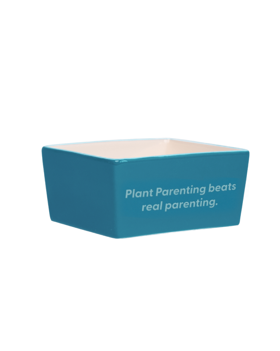 Greeting Cards Dish - POP Display - Chive US Wholesale