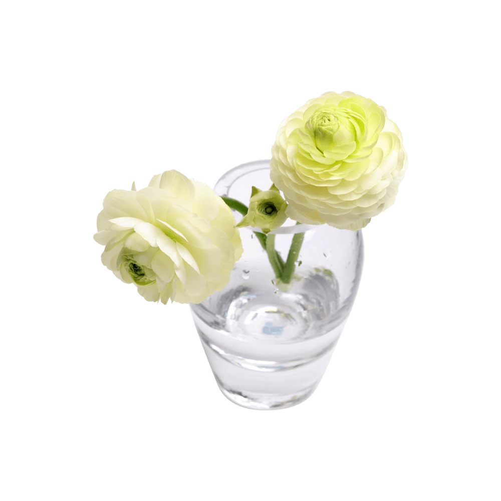 George Glass Clear Bud Vase For Flowers - Chive US Wholesale