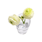 George Glass Clear Bud Vase For Flowers - Chive US Wholesale