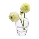 George Glass Clear Bud Vase For Flowers - Chive US Wholesale