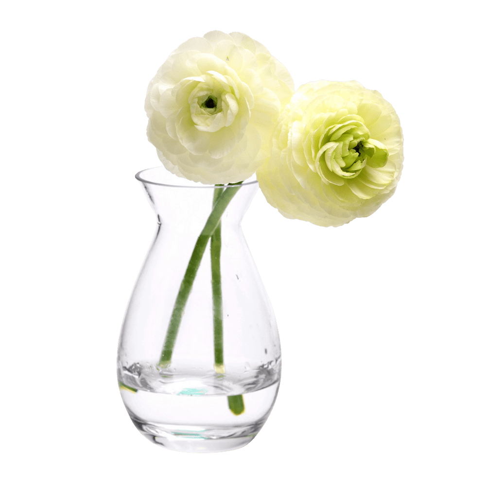 George Glass Clear Bud Vase For Flowers - Chive US Wholesale