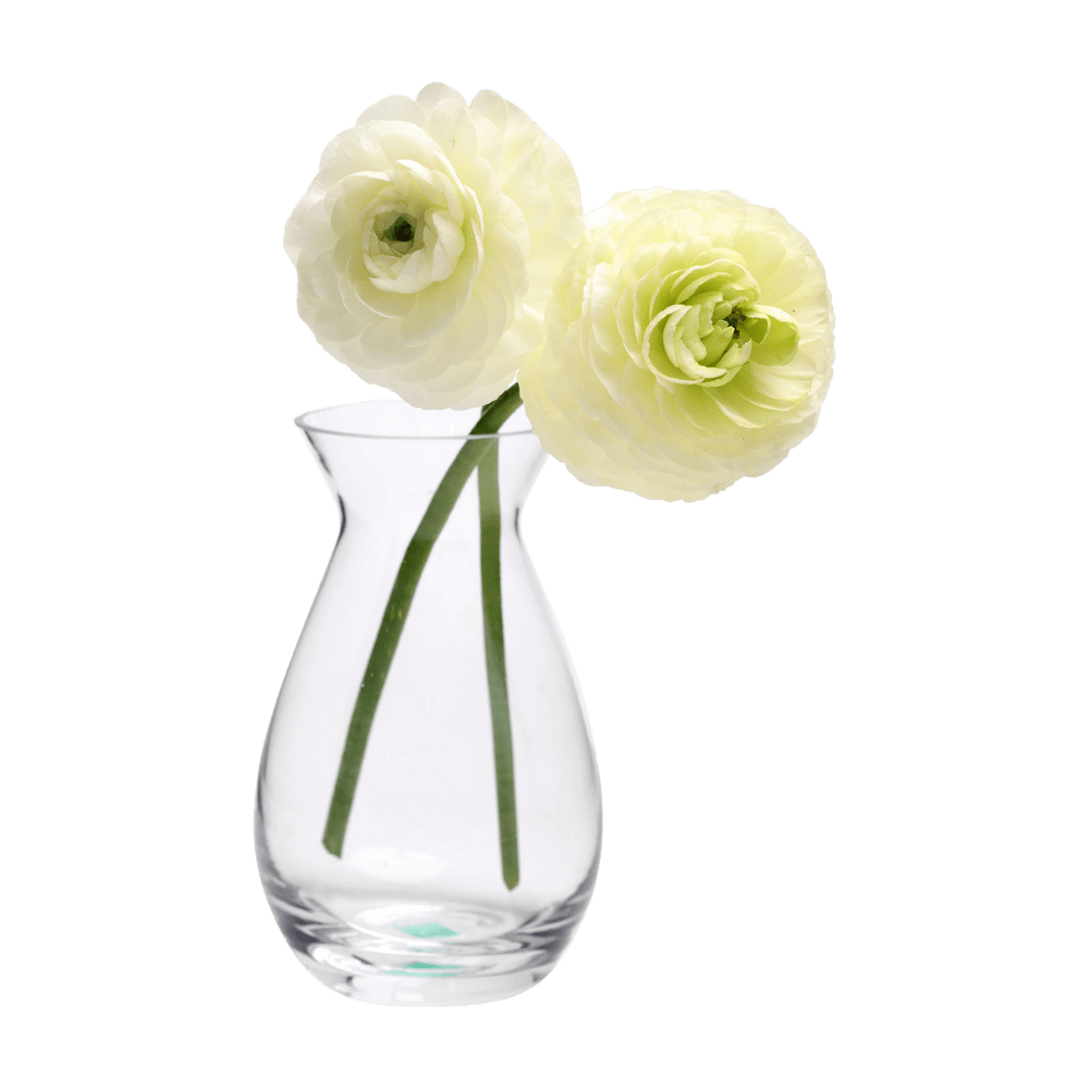 George Glass Clear Bud Vase For Flowers - Chive US Wholesale