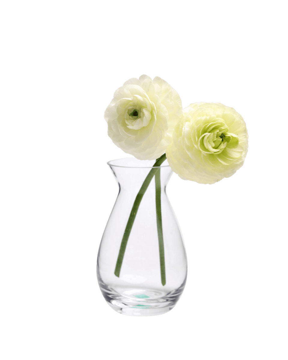 George Glass Clear Bud Vase For Flowers - Chive US Wholesale