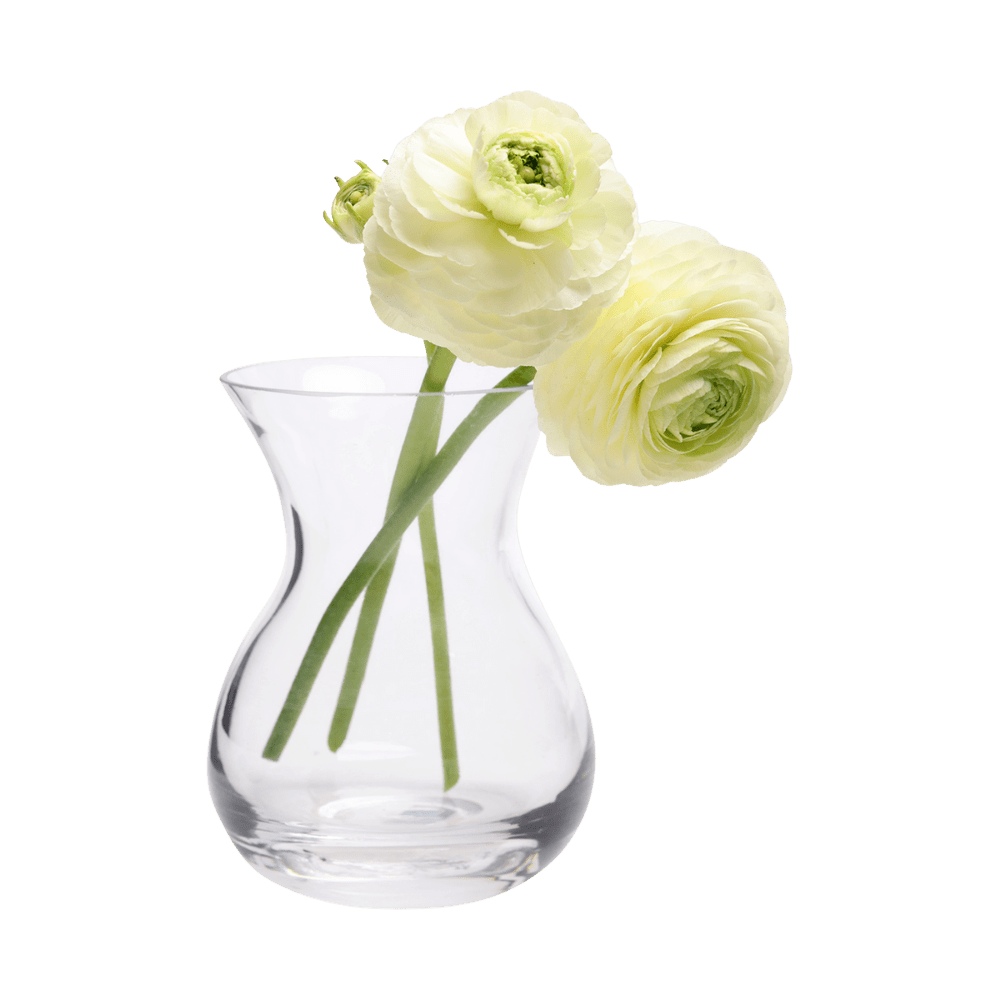 George Glass Clear Bud Vase For Flowers - Chive US Wholesale