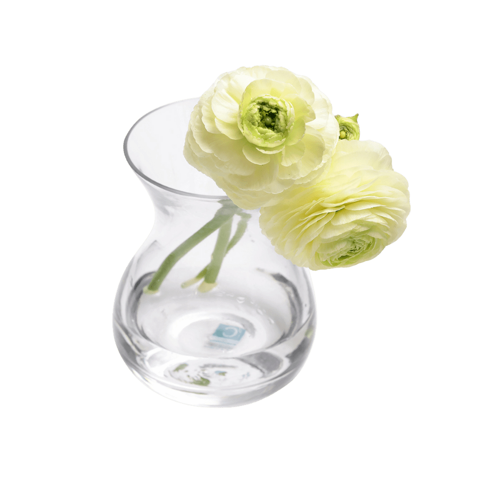 George Glass Clear Bud Vase For Flowers - Chive US Wholesale