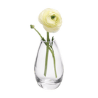 George Glass Clear Bud Vase For Flowers - Chive US Wholesale