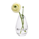 George Glass Clear Bud Vase For Flowers - Chive US Wholesale