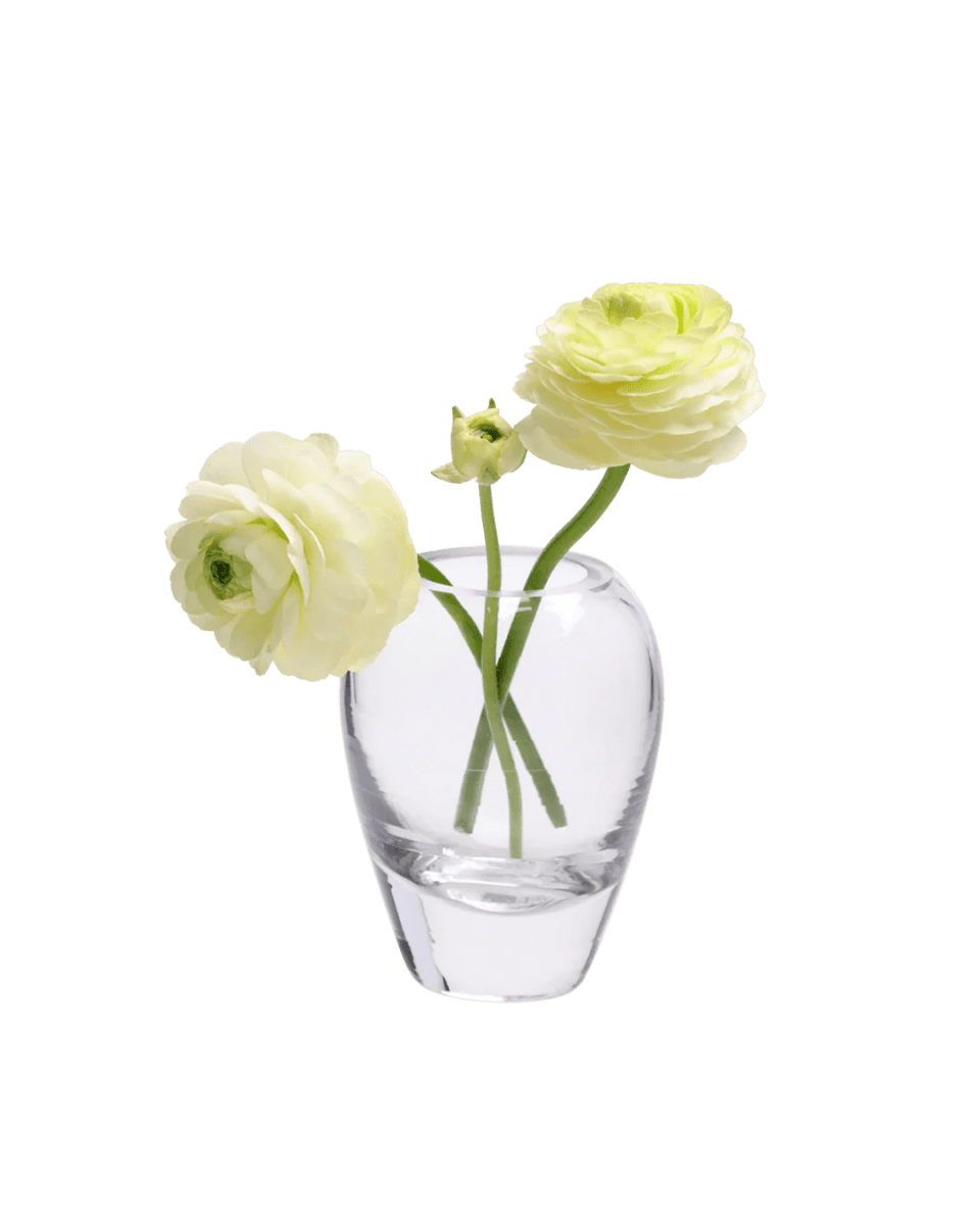 George Glass Clear Bud Vase Kit - Chive US Wholesale