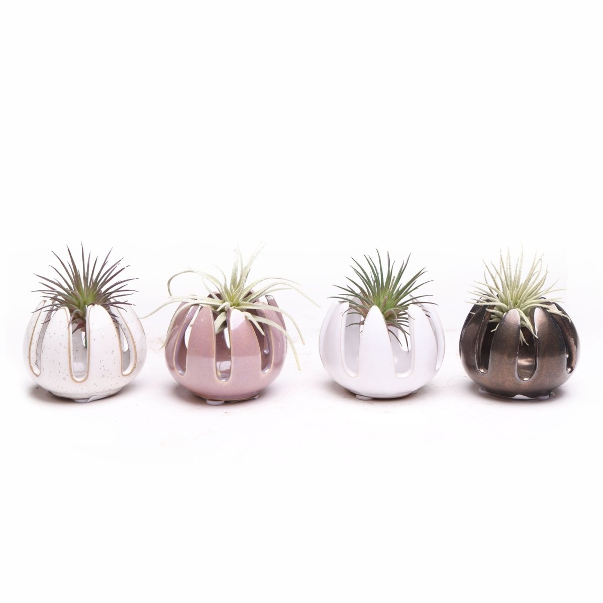 Gideon Ceramic Air Plant Container - Chive US Wholesale