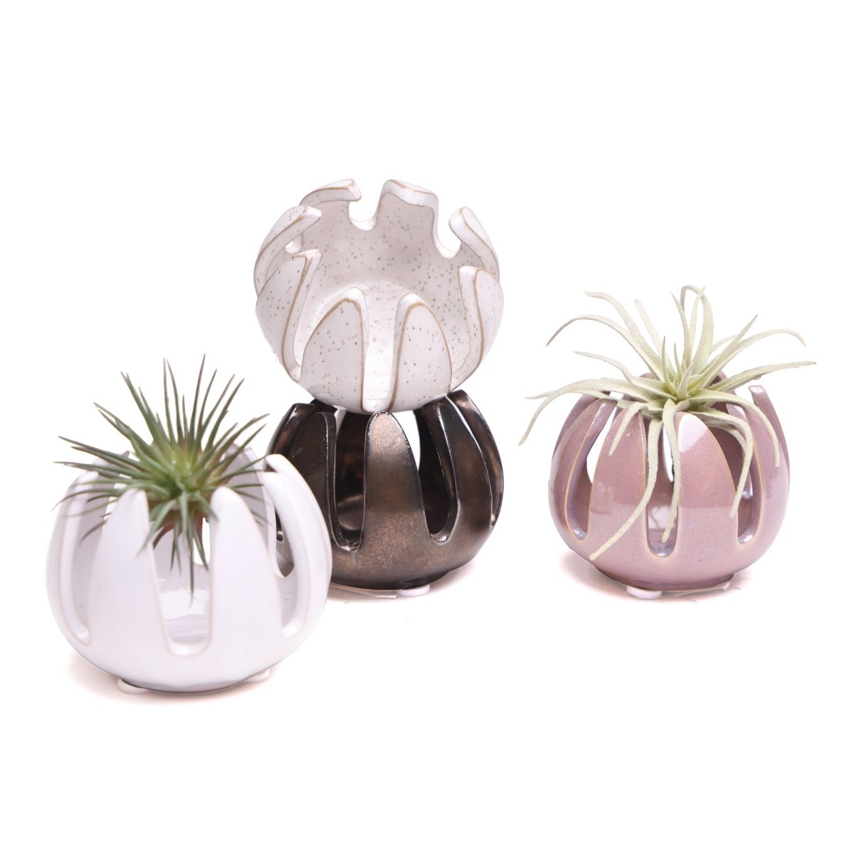 Gideon Ceramic Air Plant Container - Chive US Wholesale