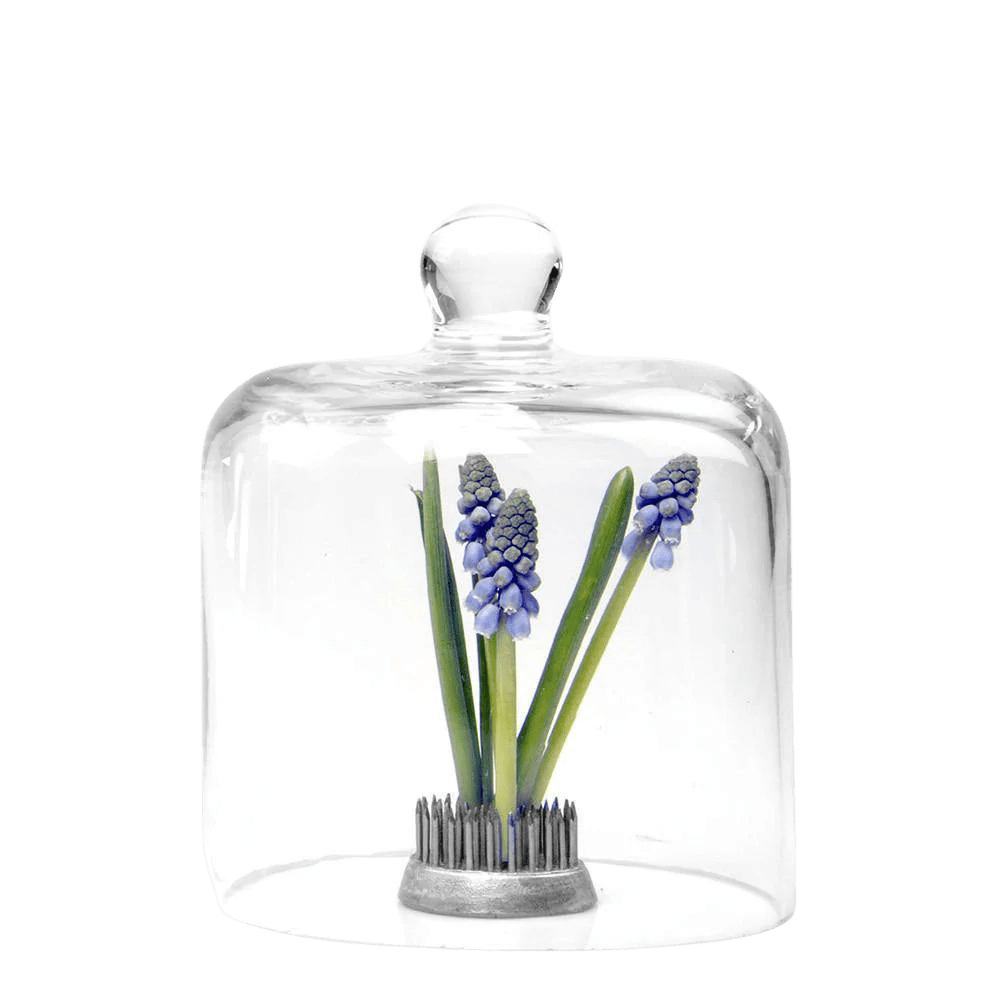 Gip Glass Cloche - Chive US Wholesale