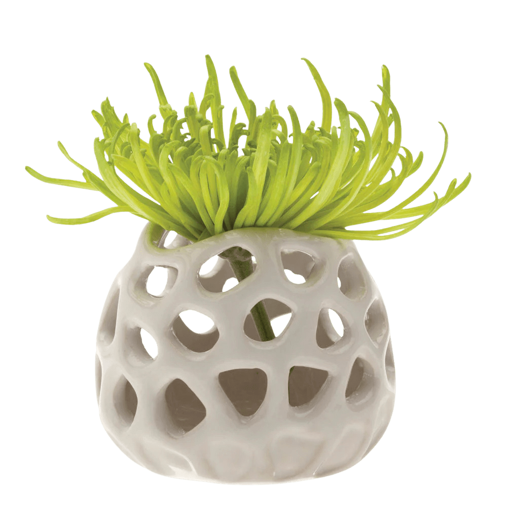 Gideon Ceramic Air Plant Container - Chive US Wholesale