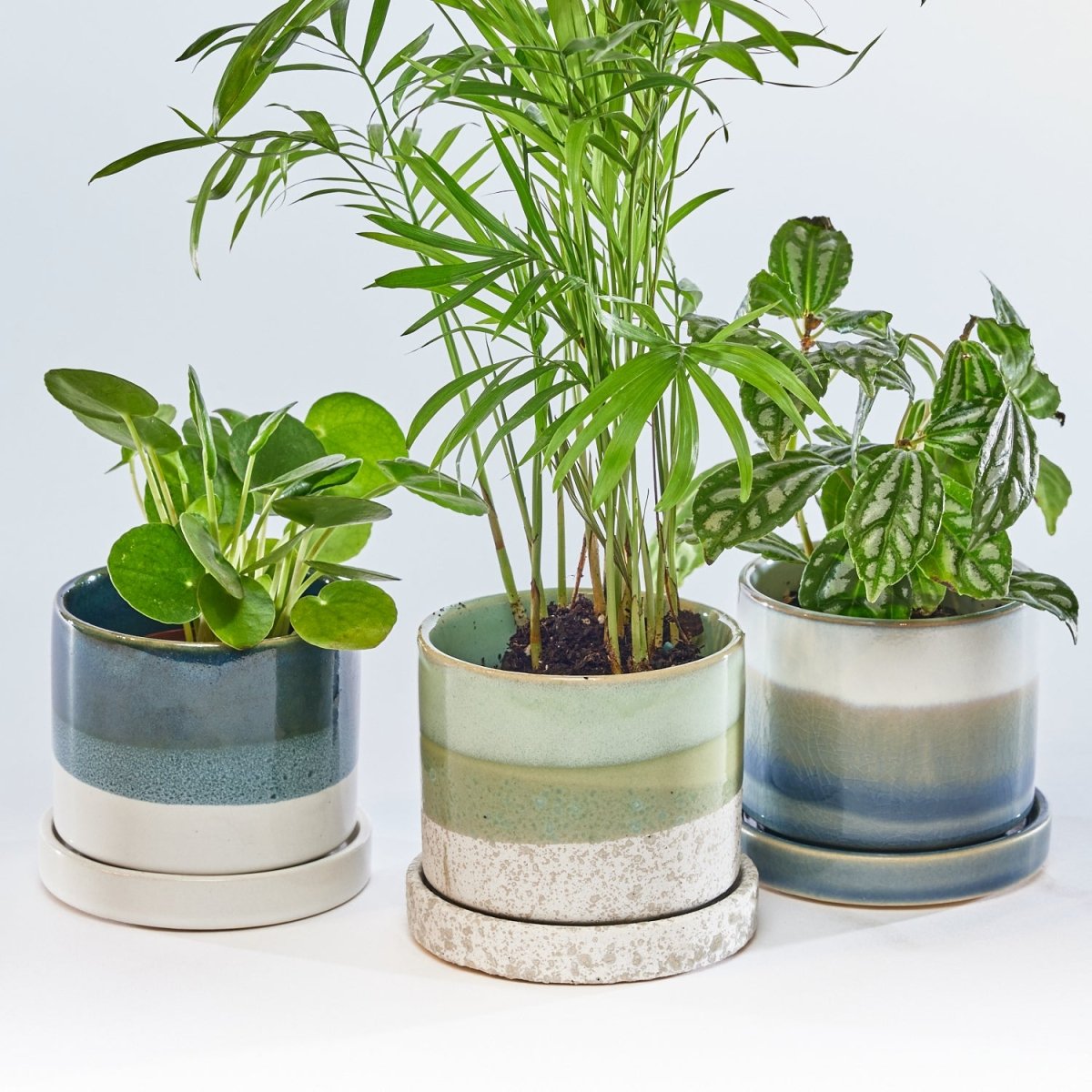 Minute Ceramic Pot And Saucer With Drainage Sets - Chive US Wholesale