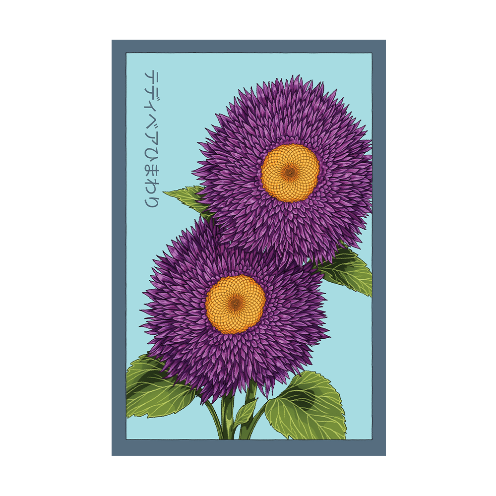 Giant Teddy Bear Sunflower Flower Seeds Packet - Chive US Wholesale
