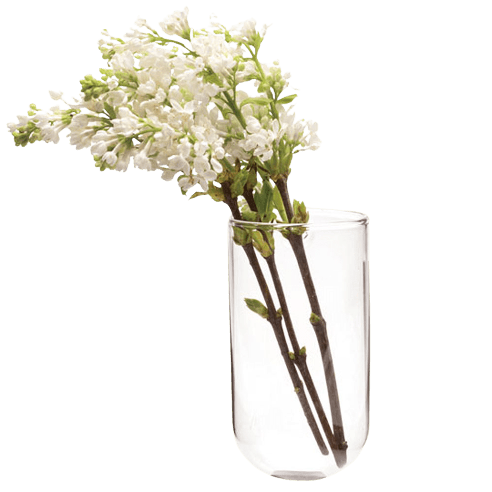 Wall Cup Glass Modern Clear Flower Vase - Chive US Wholesale