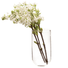 Wall Cup Glass Modern Clear Flower Vase - Chive US Wholesale