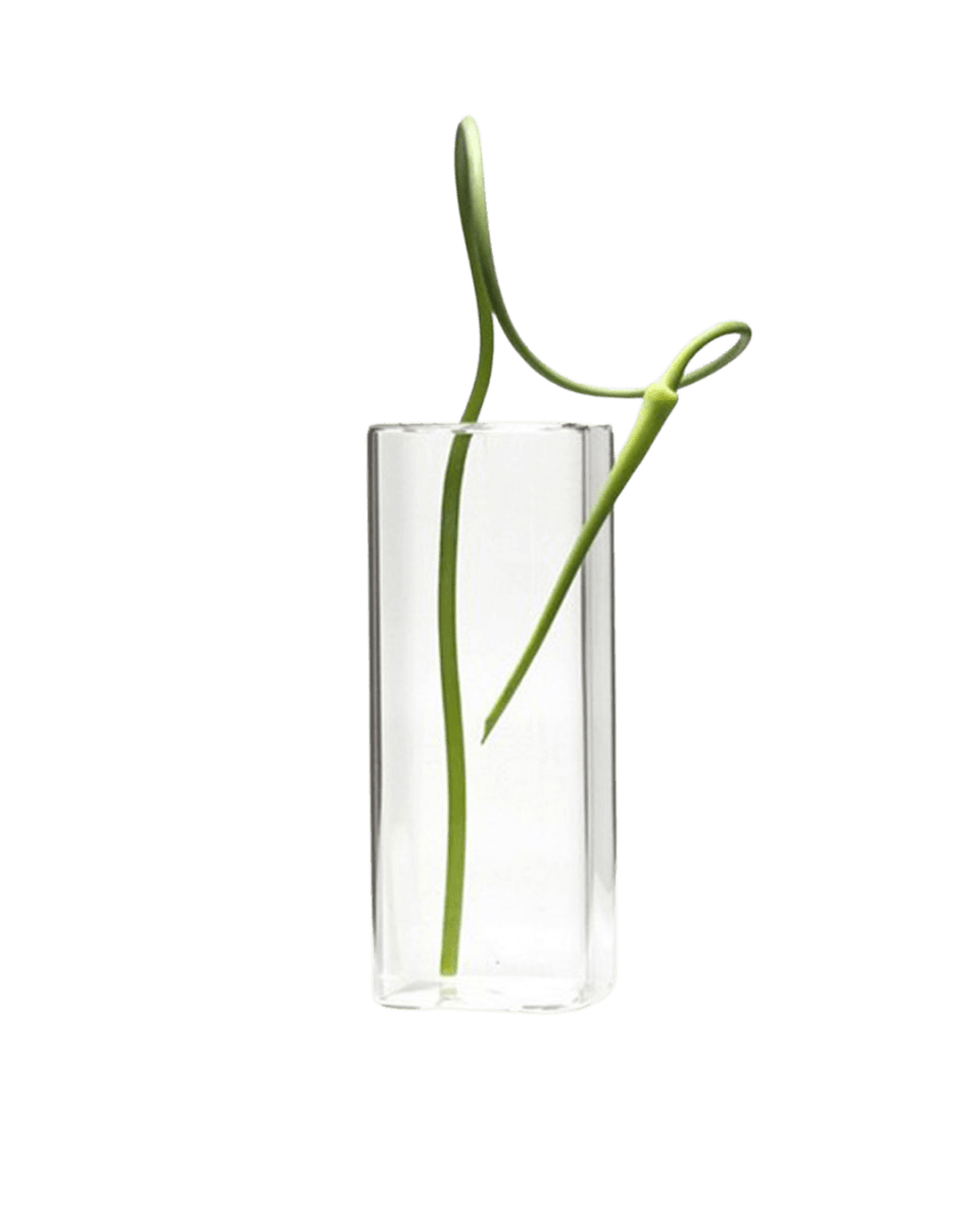 Cube Glass Modern Clear Flower Vase - Chive US Wholesale