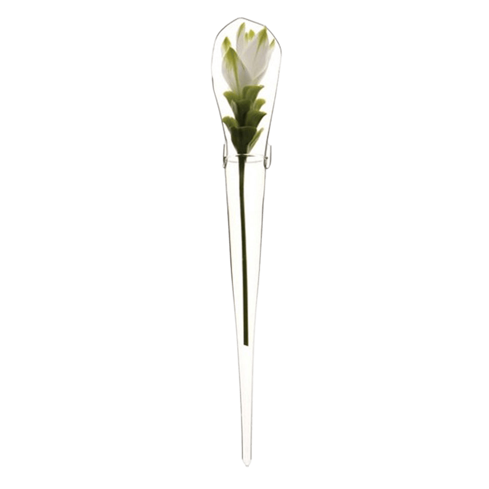 Window Cone Glass Modern Clear Flower Vase - Chive US Wholesale