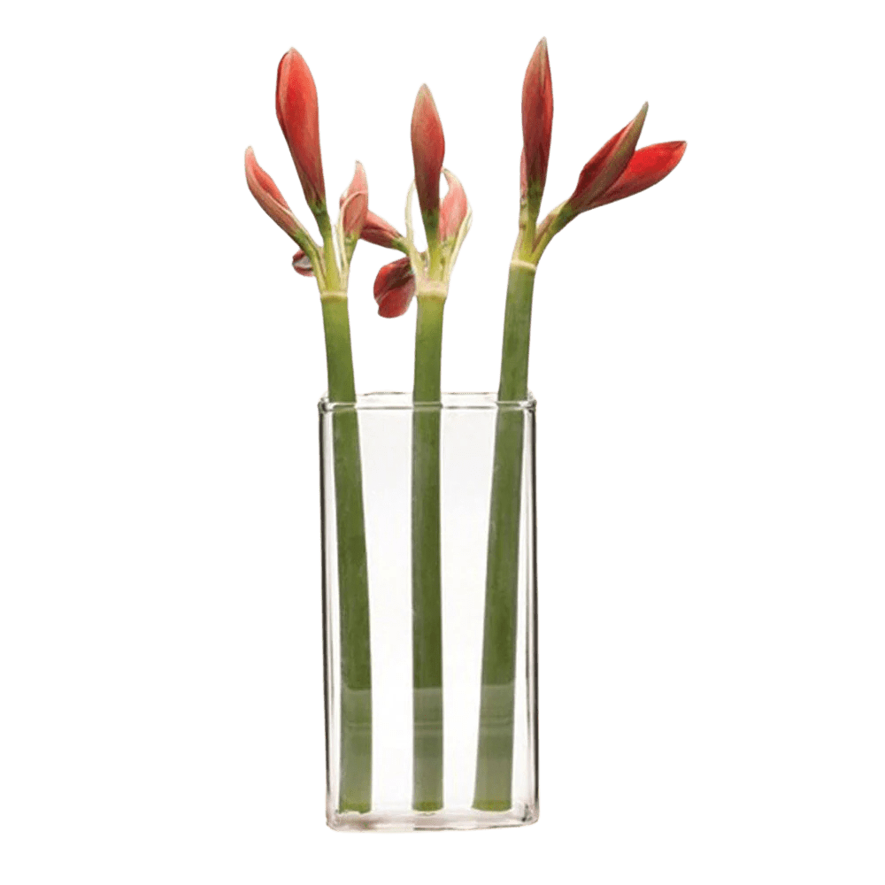 Wall Brick Glass Modern Clear Flower Vase - Chive US Wholesale