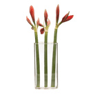 Wall Brick Glass Modern Clear Flower Vase - Chive US Wholesale