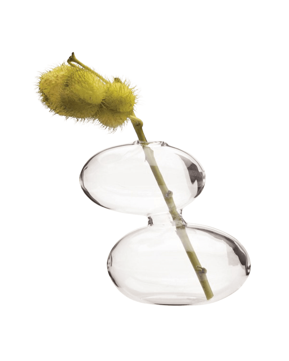 Raygun Glass Modern Clear Flower Vase - Chive US Wholesale