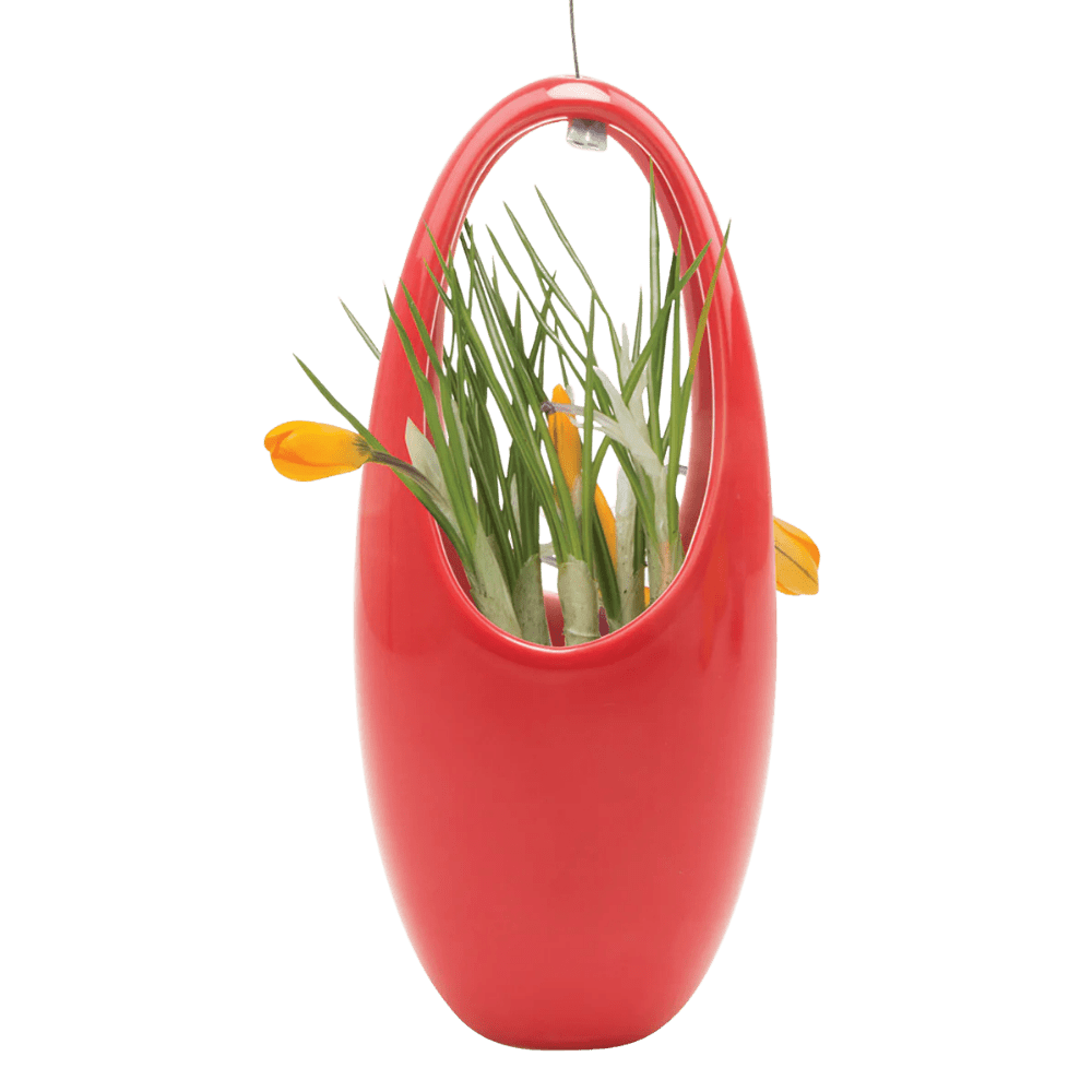 Hanging Aerium Ceramic For Succulents & Ikebana - Chive US Wholesale