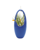 Hanging Aerium Ceramic Planter Kit - Chive US Wholesale