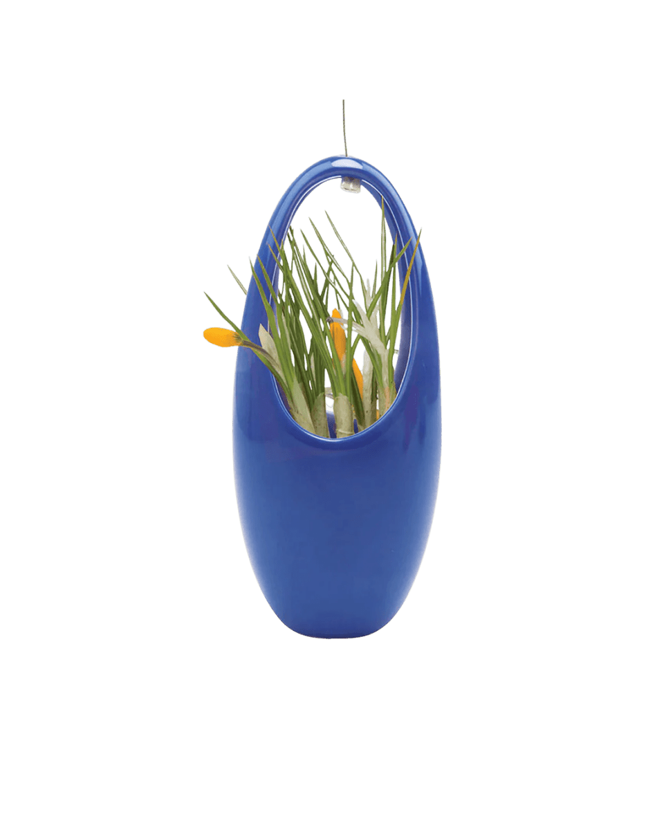 Hanging Aerium Ceramic Planter Kit - Chive US Wholesale