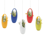 Hanging Aerium Ceramic Planter Kit - Chive US Wholesale